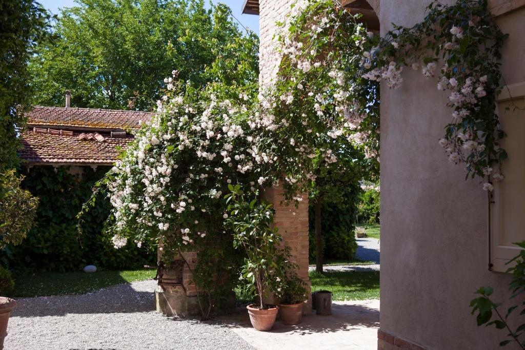 Villino Di Porporano Bed & Breakfast Parma Exterior photo